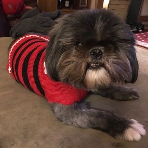 Meet your Posher, Ashleigh